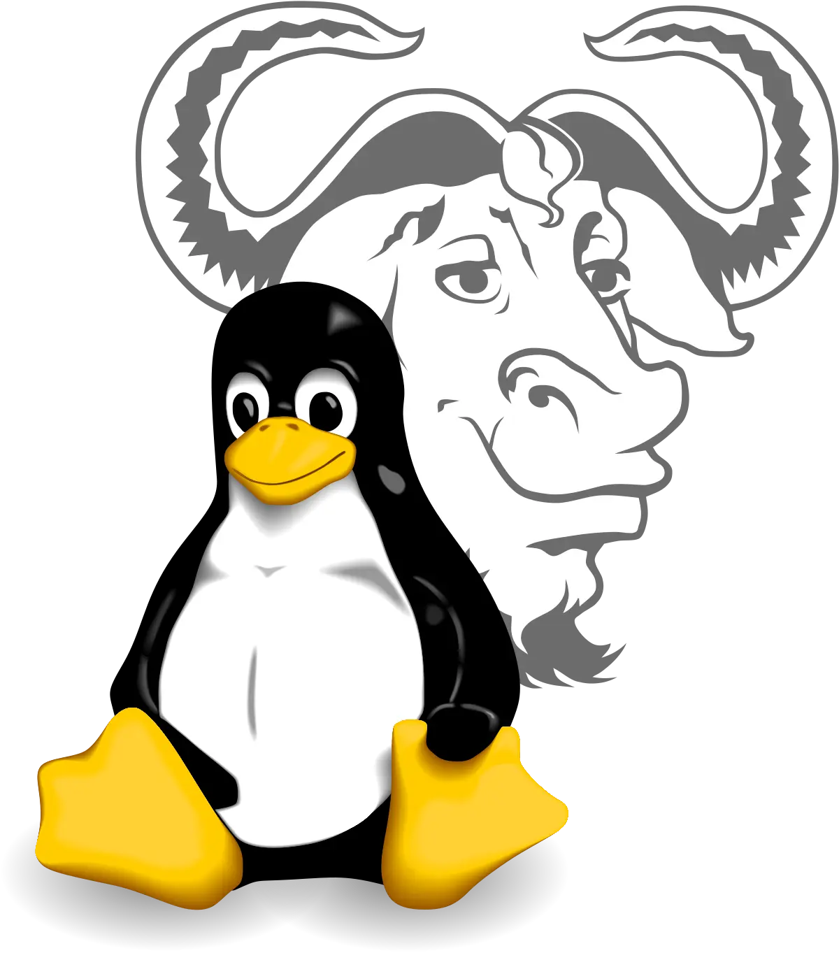 /theoludwig/.profile/raw/commit/e044b4caeac41fe6070d7febdeedc3887c42247d/apps/website/public/images/skills/GNU-Linux.webp